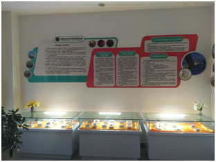 南宫NG28(中国集团)有限公司官网