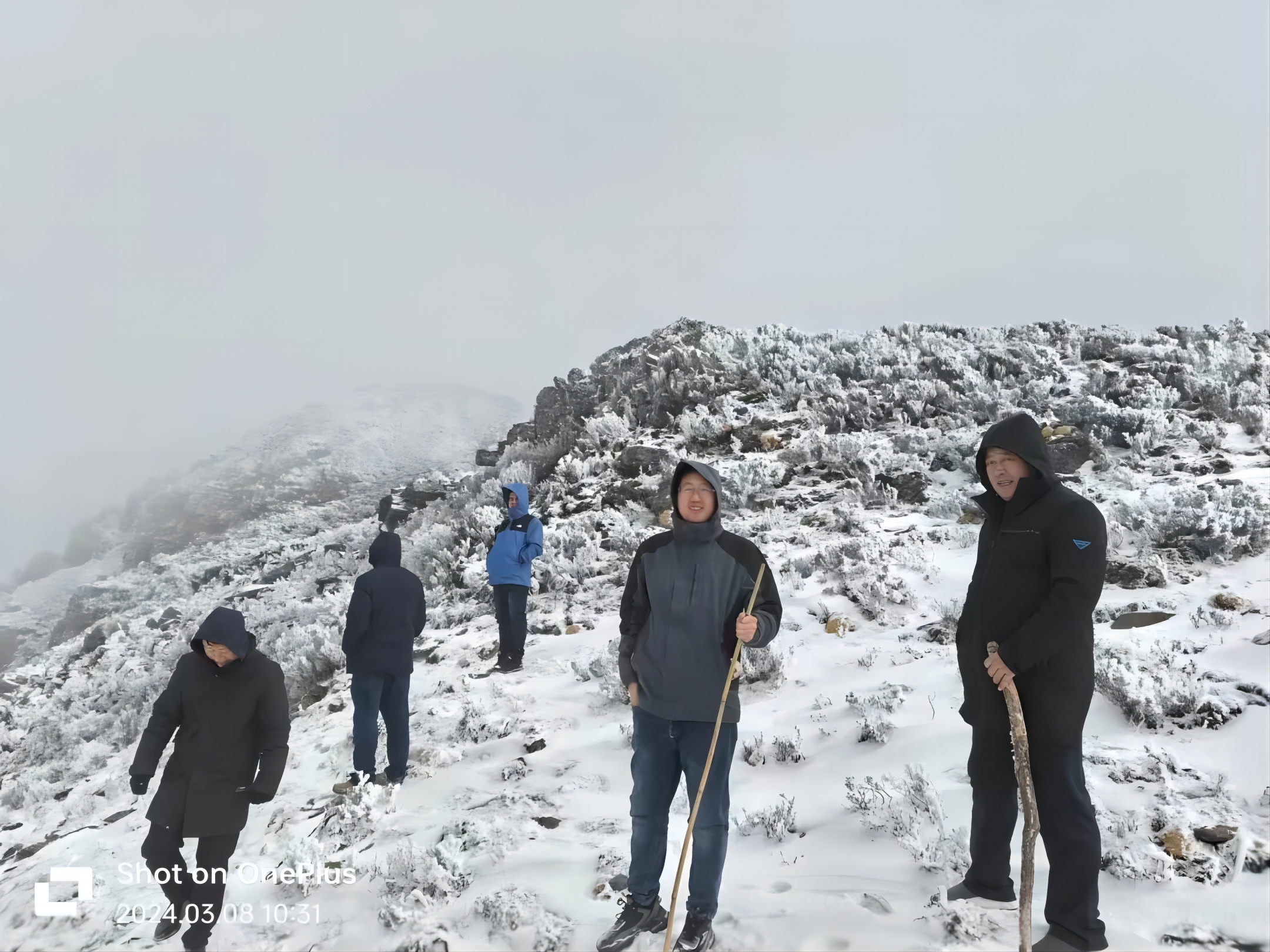 傲雪凌霜，，，，，只为有“锂”
